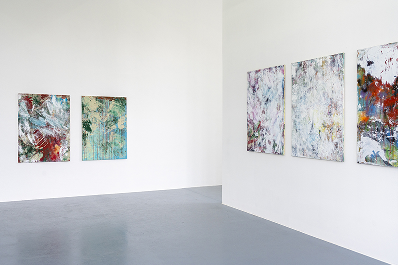 Petra Polli, AUSSTELLUNGSANSICHT