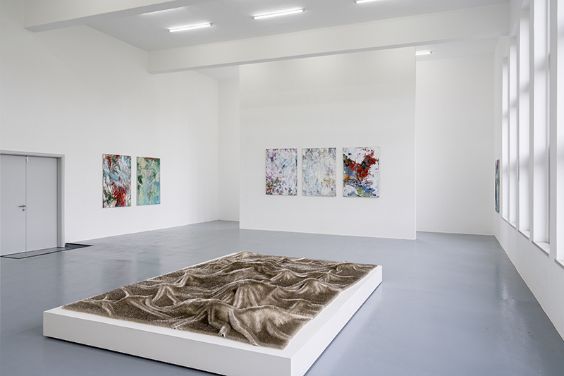 Petra Polli, AUSSTELLUNGSANSICHT