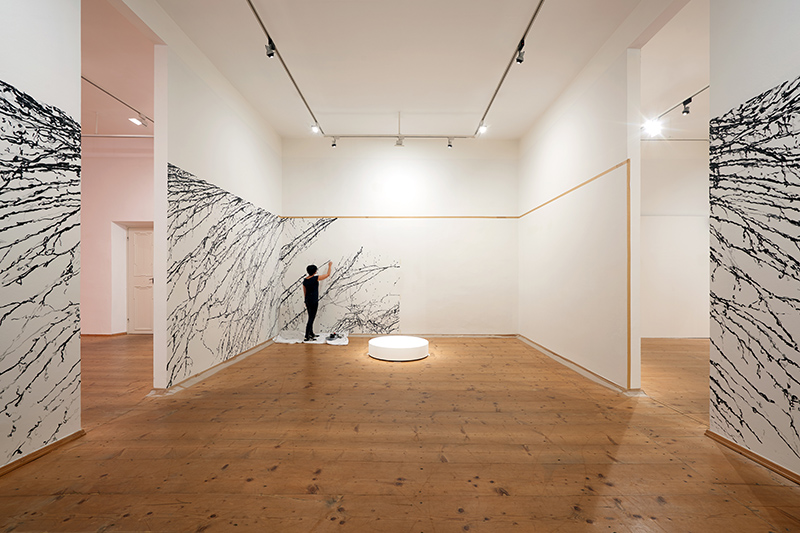 Petra Polli, AUSSTELLUNGSANSICHT