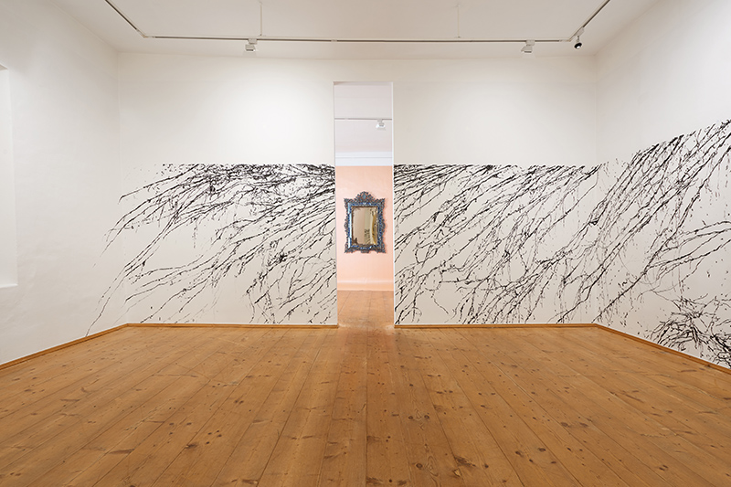 Petra Polli, AUSSTELLUNGSANSICHT