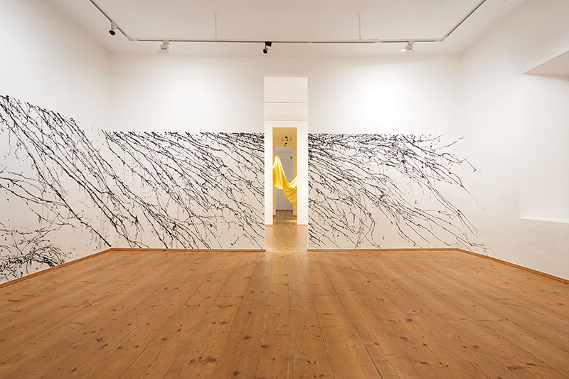 Petra Polli, AUSSTELLUNGSANSICHT