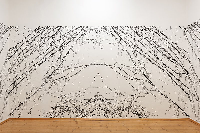 Petra Polli, AUSSTELLUNGSANSICHT