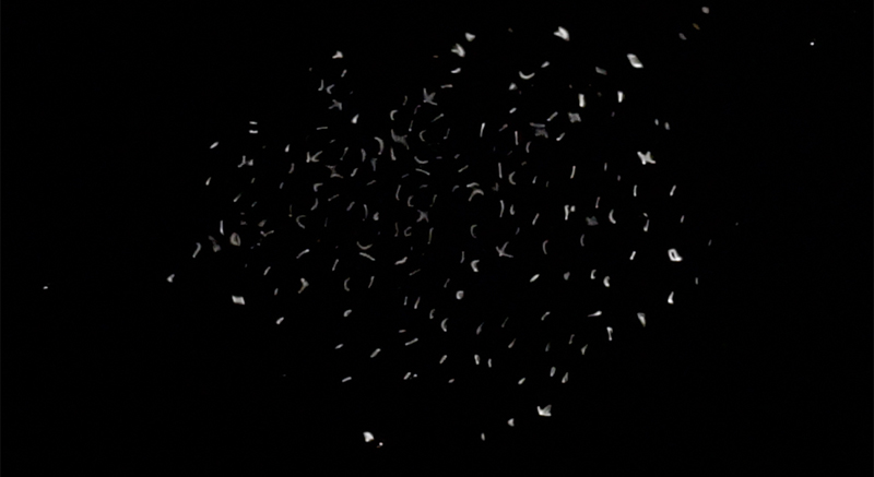 Petra Polli, AUSSTELLUNGSANSICHT