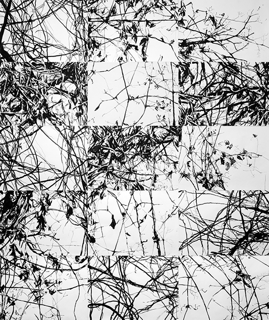 Petra Polli, AUSSTELLUNGSANSICHT