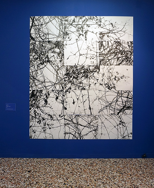 Petra Polli, AUSSTELLUNGSANSICHT