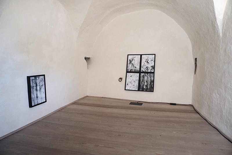Petra Polli, AUSSTELLUNGSANSICHT