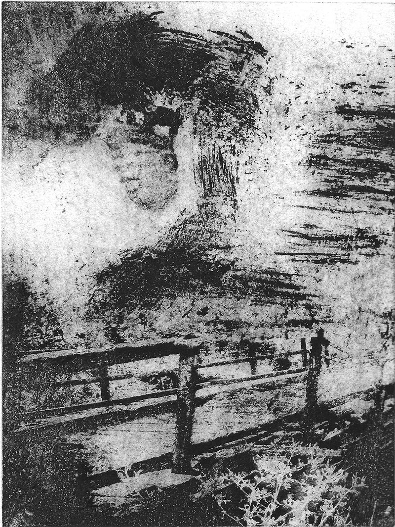 Petra Polli, OHNE TITEL