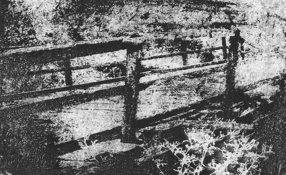 namen-pfade