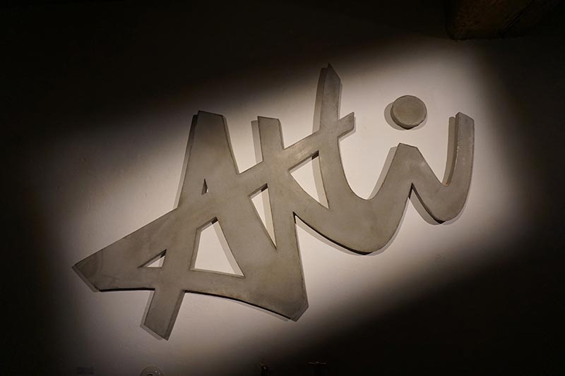 Petra Polli, AKTIV