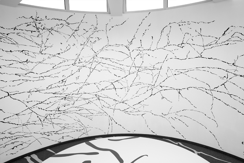 Förderpreisträgerin der Raiffeisen Kunstsammlung 2019