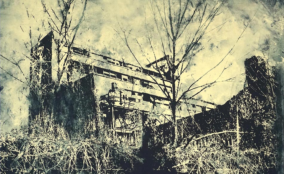 urban-nature